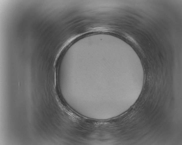 X0000058781323200510282001