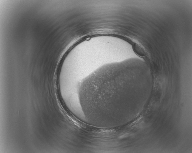 X0000058781325200510282001