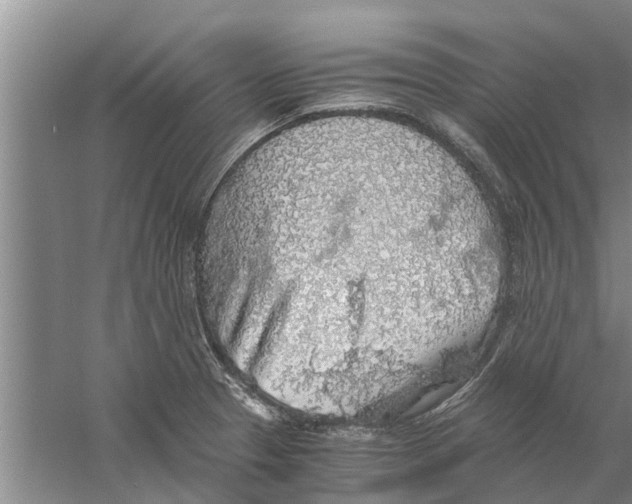 X0000058781329200510282001