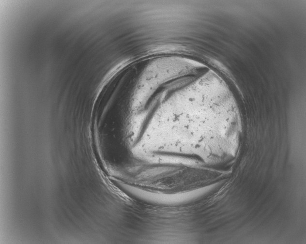 X0000058781330200510282001