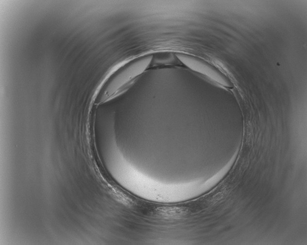 X0000058781331200510282001