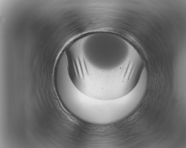 X0000058781332200510282001