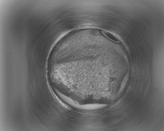 X0000058781333200510282001