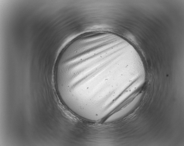 X0000058781336200510282001