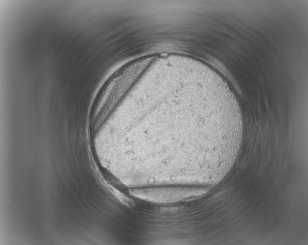 X0000058781339200510282001