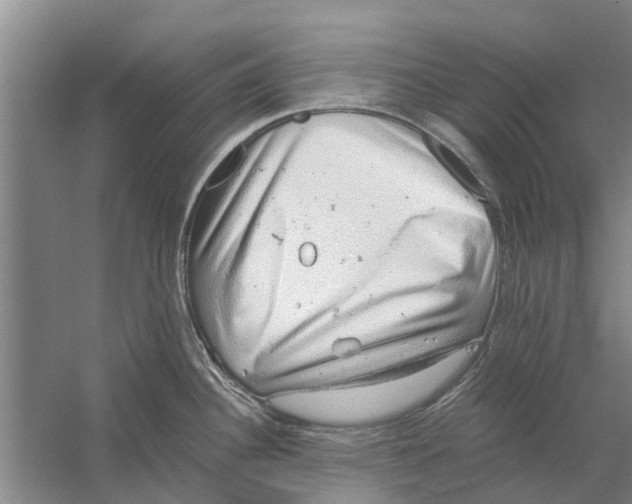 X0000058781340200510282001