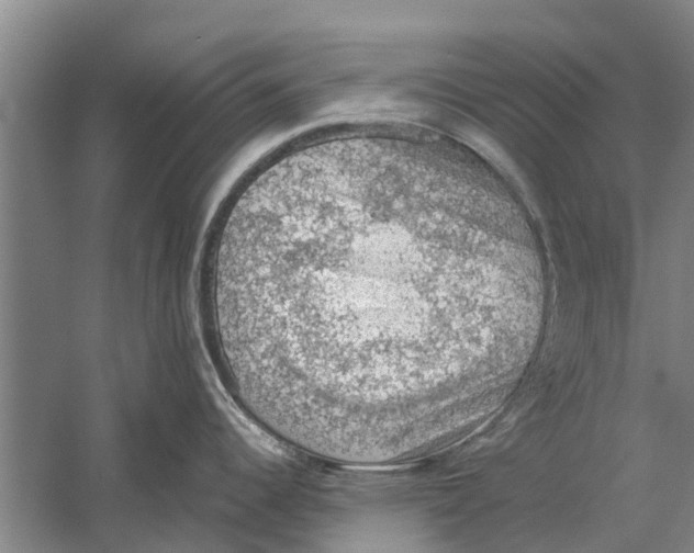 X0000058781344200510282001