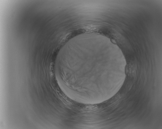 X0000058781346200510282000