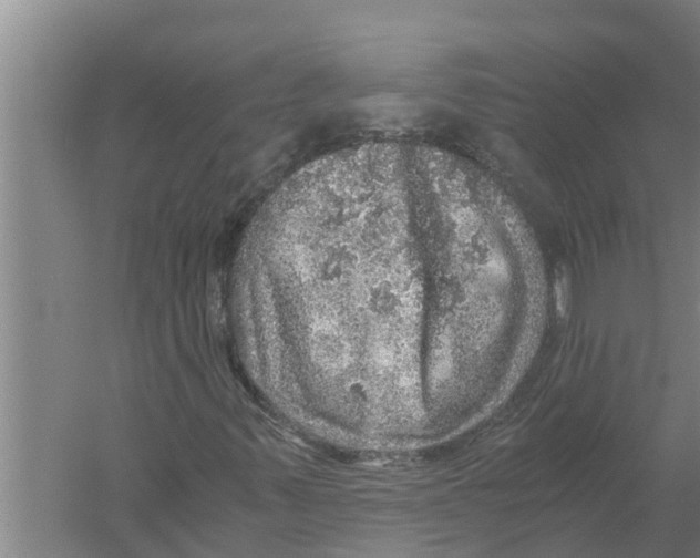 X0000058781347200510282000