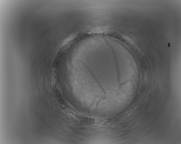 X0000058781350200510282000