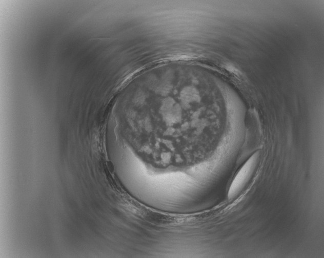 X0000058781353200510282000