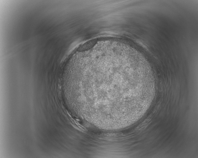 X0000058781355200510282000