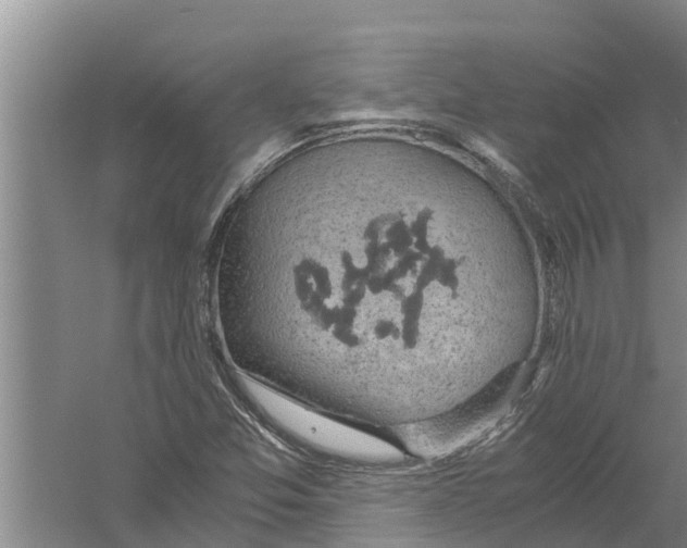 X0000058781357200510282000