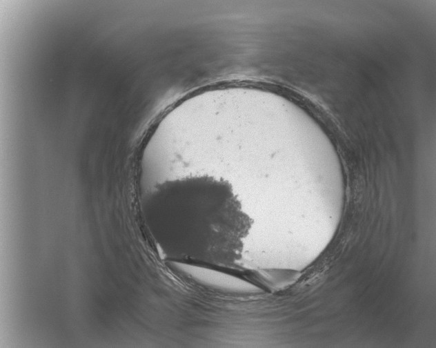 X0000058781359200510282000