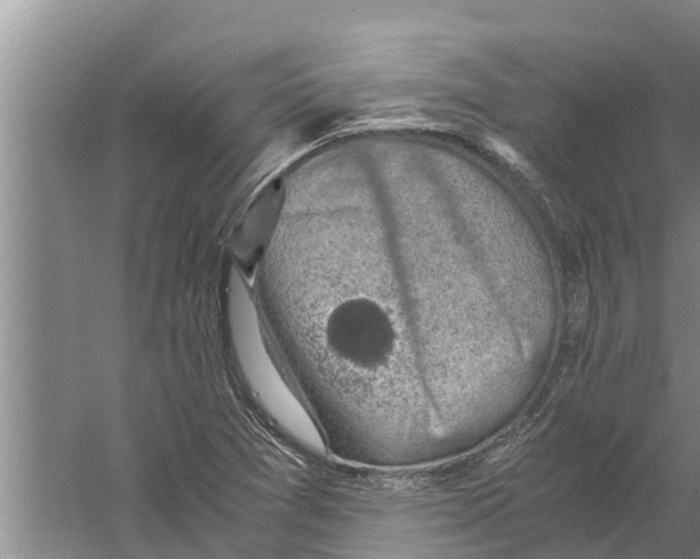 X0000058781361200510282000