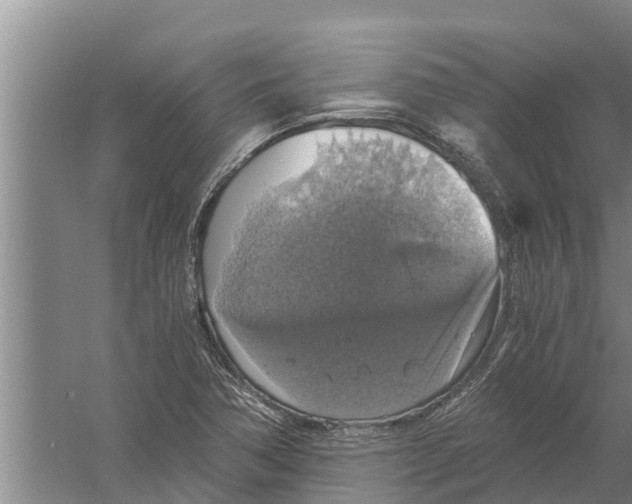 X0000058781362200510282000