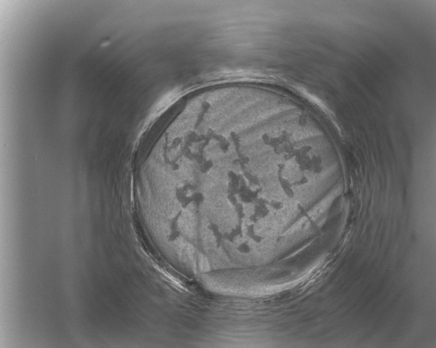 X0000058781365200510282000