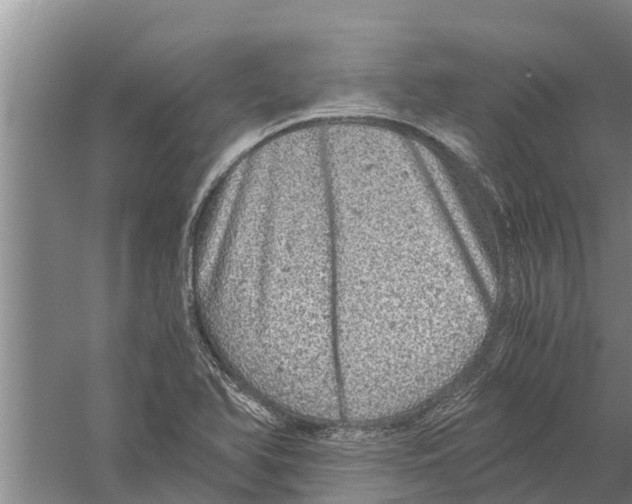 X0000058781366200510282000