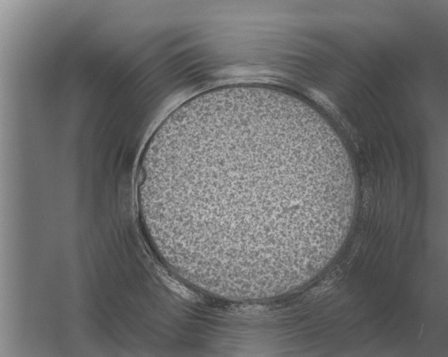 X0000058781370200510282000