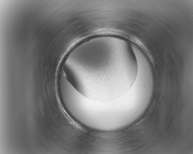 X0000058781376200510282000