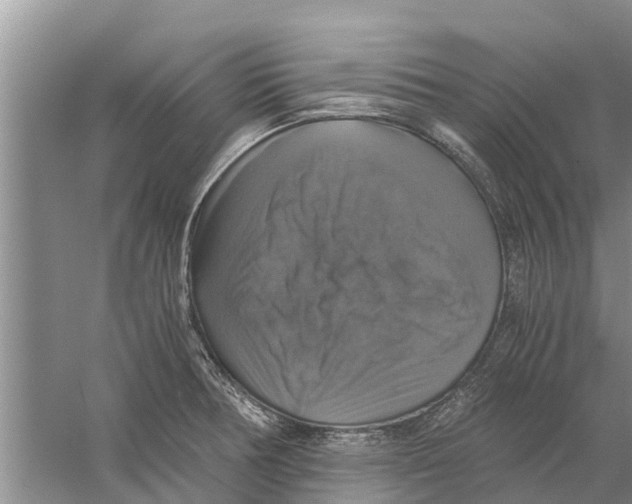 X0000058781378200510282000