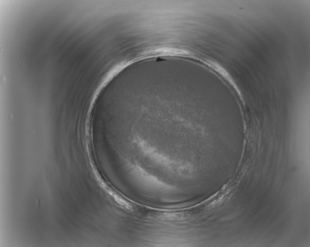 X0000058781381200510281959