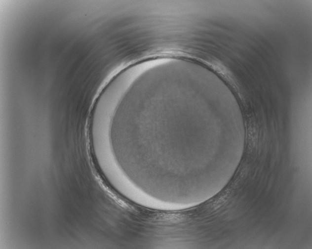 X0000058781382200510281959