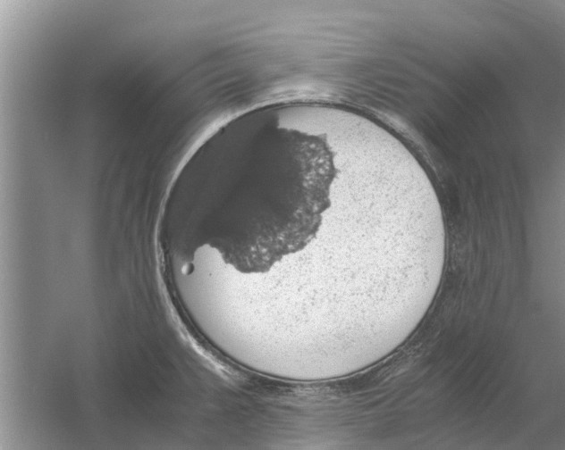 X0000058781383200510281959