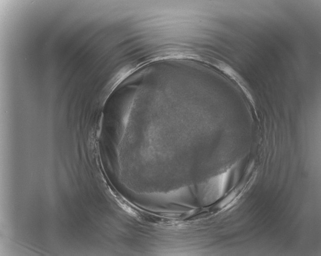 X0000058781385200510281959