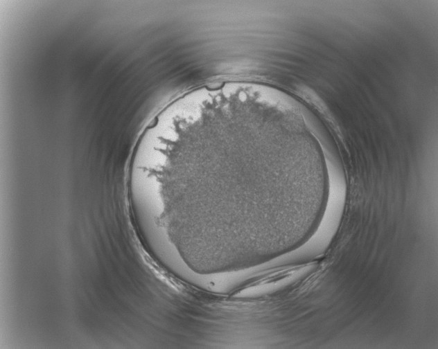 X0000058781386200510281959