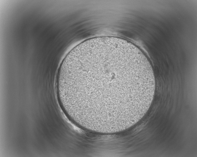 X0000058781387200510281959