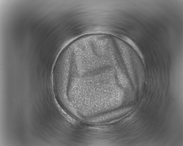 X0000058781388200510281959