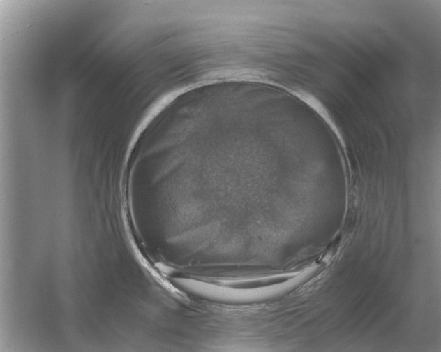 X0000058781389200510281959