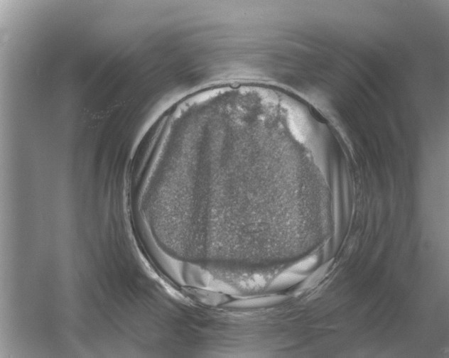 X0000058781390200510281959