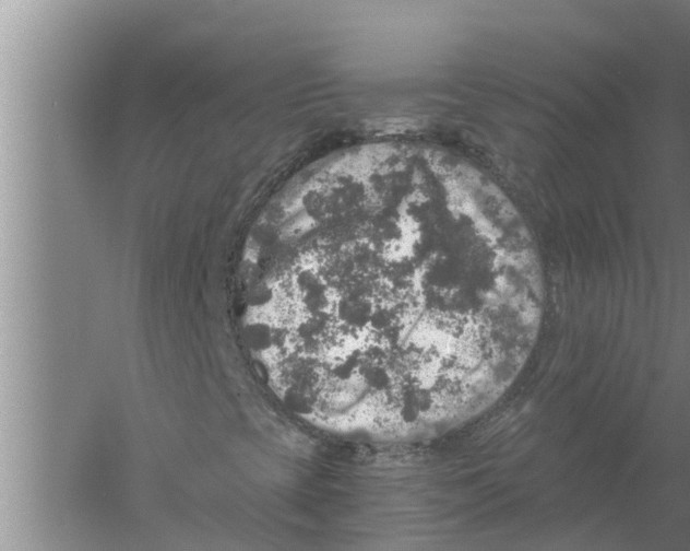 X0000058781393200510281958