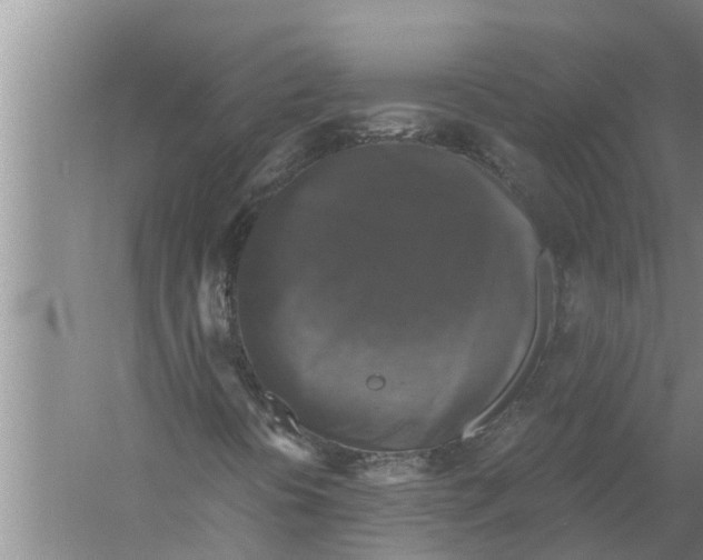 X0000058781394200510281958