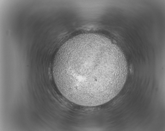 X0000058781396200510281959