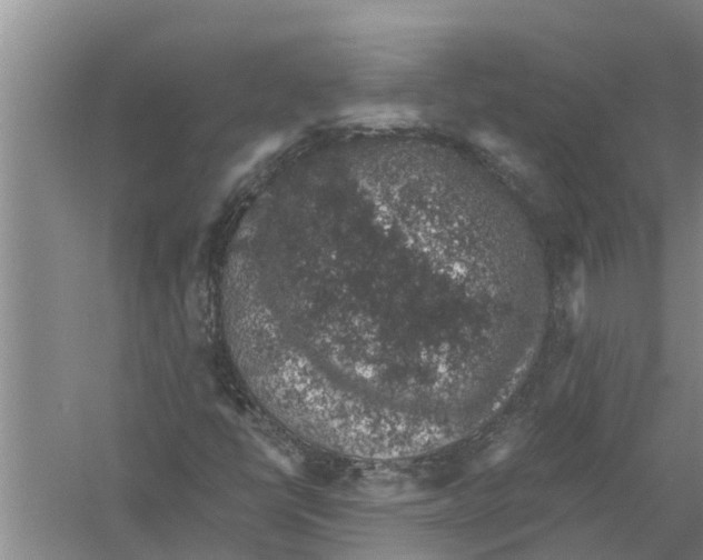 X0000058781398200510281959