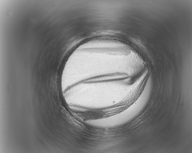 X0000058781404200510281959