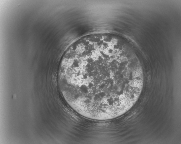 X0000058781409200510281959