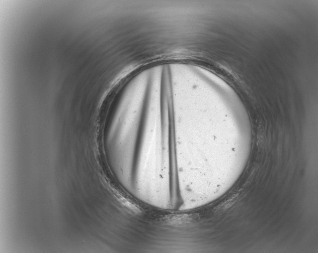 X0000058781410200510281959