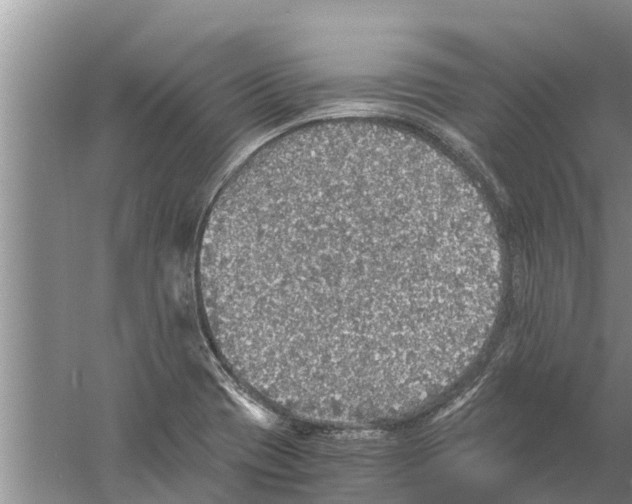 X0000058781417200510281959