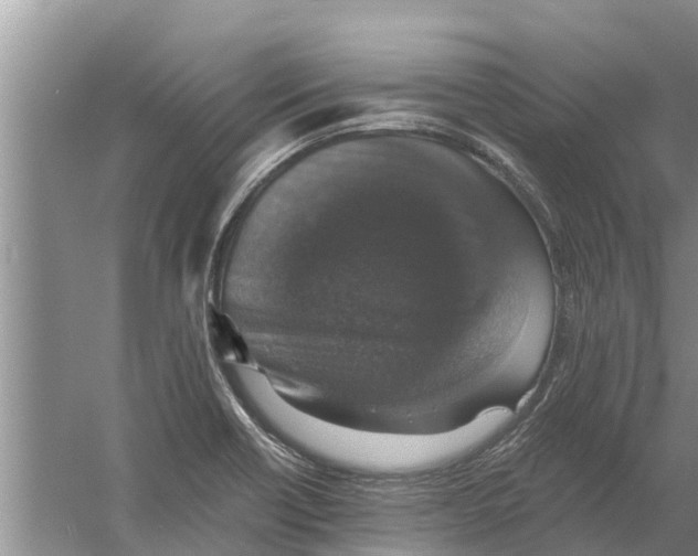 X0000058781418200510281959