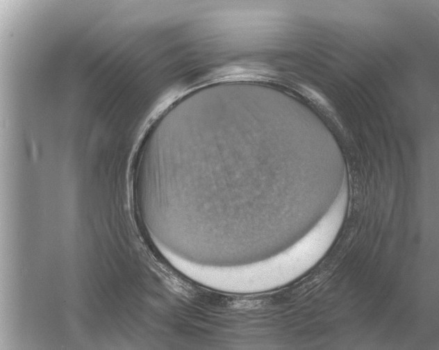 X0000058781419200510281959