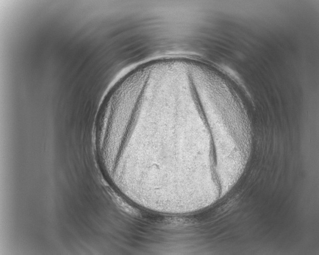 X0000058781420200510281959