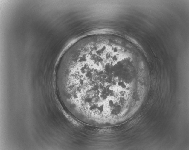 X0000058781421200510281959