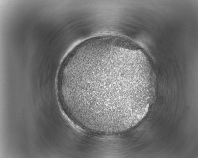 X0000058781422200510281959