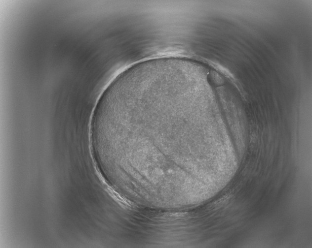 X0000058781423200510281959