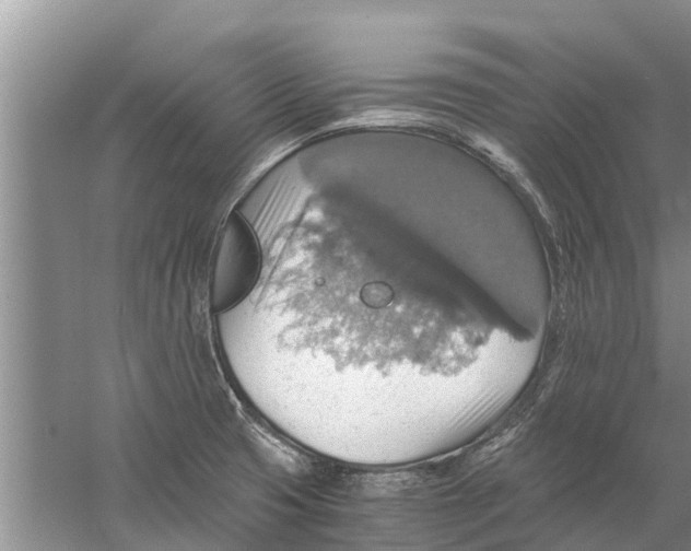 X0000058781425200510281959