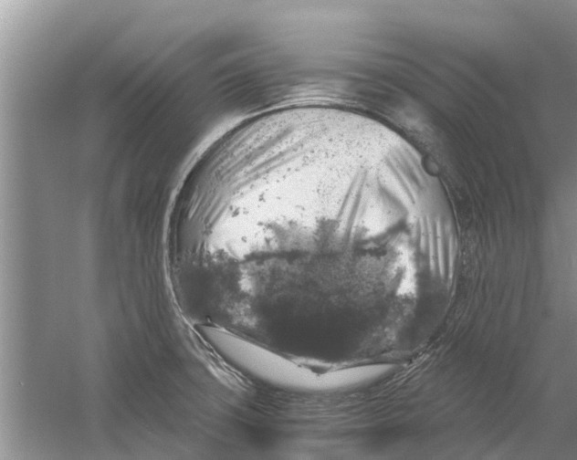 X0000058781427200510281959